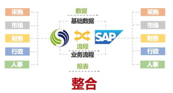 SAP與致遠互聯強強聯手，以技術融合驅動全球企業組織管理升級