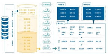 雅森科技陳暉 十年求索，探路醫療AI的上海實踐與需求邊界
