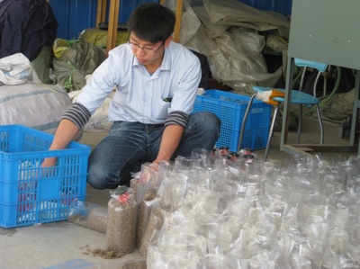 上海技術推廣 構建產業服務新高地